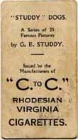 C to C Rhodesian reverse