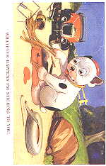 Whatever happens I'm sticking to you