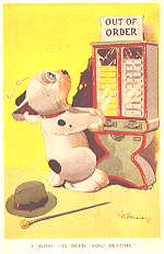 I wish I'd seen you before