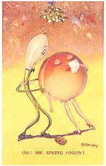 Oh, Mr. Spring Onion